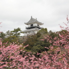 松尾橋西よりⅠ