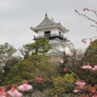 松尾橋西よりⅡ