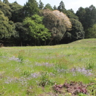 二の曲輪内部と名残の桜