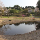 三の曲輪土塁上より馬洗場、二の曲輪土塁、東尾根曲輪を望む