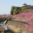大手橋上より
