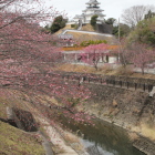 大手橋上よりⅡ