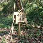どっちを指してるの？