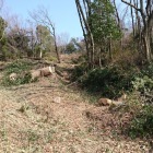 見晴らし台回りは伐採されてます