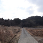野間城と居館跡