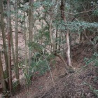 東側の谷川