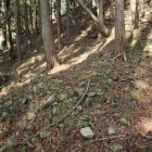 小石溜り