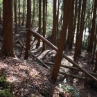 導入部の曲輪