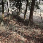 土塁