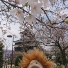 桜とお城とコラボ♡