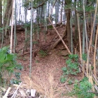 公園から主郭部を見上げる