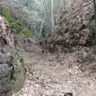 岩盤を削った大堀