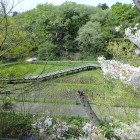 園外から見た水生植物圓内