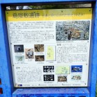 案内板