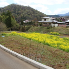 外堀(写真左に現在の登城口)