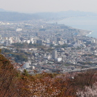 本丸から見た小田原城(左の木の横に天守)