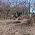 桜馬場西側下段