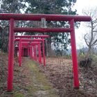 原田城北側登城道