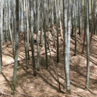 ４郭奥北西側に在る土盛、土塁？