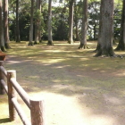 元本丸内部、杉木立が心地よい