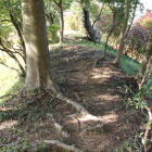 本曲輪の東側に延びる土塁