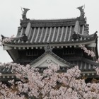 本丸丑寅櫓