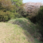 東尾根曲輪東の五重堀切と山桜
