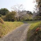 二の曲輪虎口より南方向の東尾根曲輪を望む