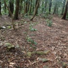 主郭の石列（石垣？）
