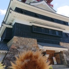 かっこぇえのう。。。