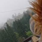 霧が凄くてお城見えないや💧
