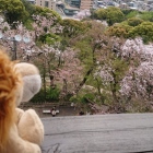 天守から①