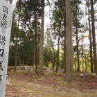主郭の中。後ろに土塁があります。