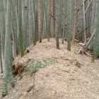 土壇も残ります