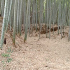 広くて深い堀