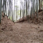 堀の出口は畑に続く