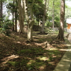 南曲輪(城山神社)、左側は土塁