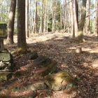 田口城本丸