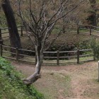 本丸裏の大井戸