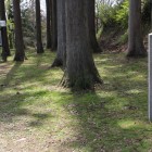 三の丸、景虎屋敷