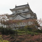 大多喜高校内より天守を望む