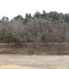 山裾の帯曲輪東西土塁、手前は堀と湿地帯