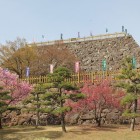 稲荷曲輪より