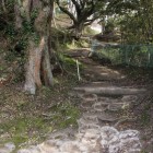 途中から尾根路登城路へ