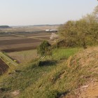 東山馬場北土塁上より北側の田圃印旛沼側筑波山を望む？