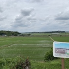 東山虎口の土塁からの眺望