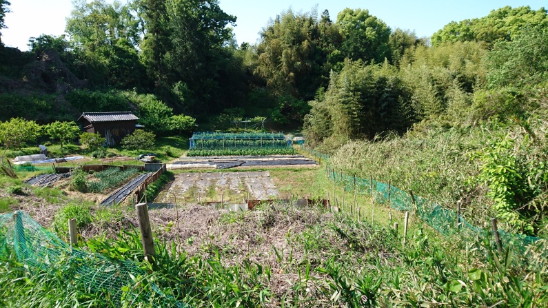 片岡城 城びと
