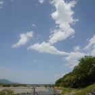 龍みたいにも見える？