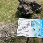 山梨に海峡的な海！