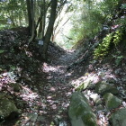 中の丸の土塁と堀底道